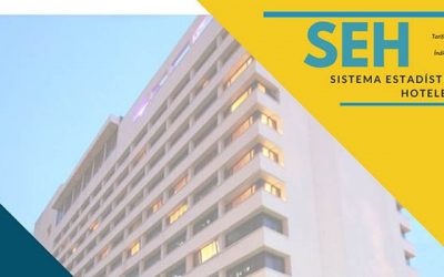 Avecintel presenta el Sistema Estadístico Hotelero – Enero 2020